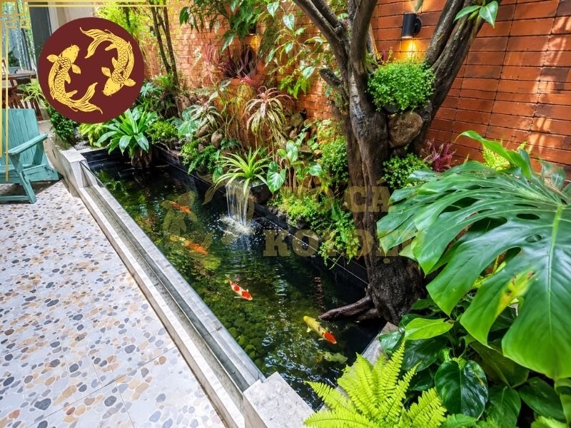 Khám Phá Hồ Cá Koi Kiểu Nhật Và Nghệ Thuật Thiết Kế Sân Vườn 4 Nếu diện tích không quá lớn, gia chủ có thể lựa chọn thiết kế tối giản với hình dáng hồ gọn gàng, ít tiểu cảnh.
