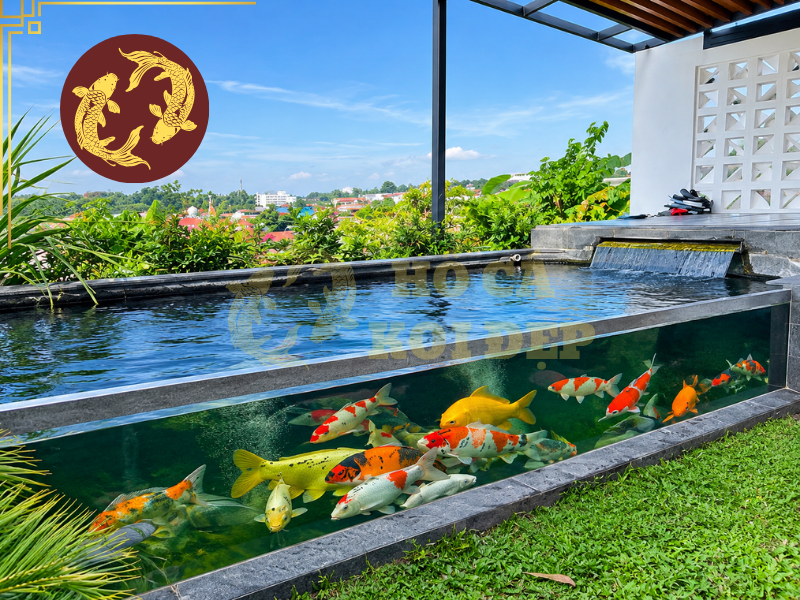 Những Điều Cần Biết Khi Làm Hồ Cá Koi Kính Cường Lực 3 Yêu cầu quan trọng là mặt kính phải phù hợp với kích thước và kết cấu thực tế của hồ.