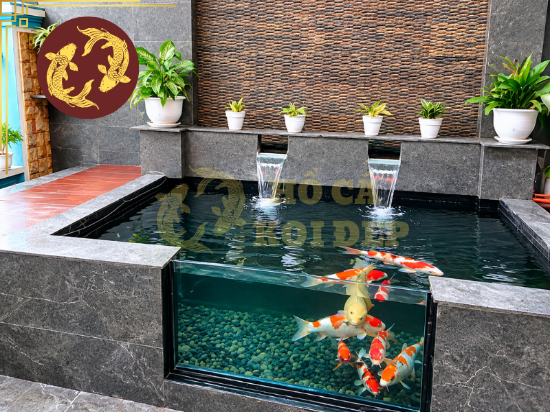 Những Điều Cần Biết Khi Làm Hồ Cá Koi Kính Cường Lực 5 Để hồ cá koi kính cường lực vừa đẹp vừa thuận tiện sử dụng, gia chủ nên xác định vị trí kính ngay từ bước thiết kế.