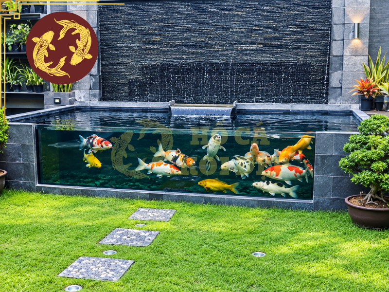 Thi Công Hồ Cá Koi Đà Lạt Trọn Gói: Giải Pháp Hồ Koi Đẹp Và Chuẩn Kỹ Thuật 5 Chi phí thi công hồ cá koi Đà Lạt phụ thuộc vào nhiều yếu tố như kích thước hồ, độ sâu, kết cấu, vật liệu hoàn thiện, hệ thống lọc và mức độ đầu tư cảnh quan.