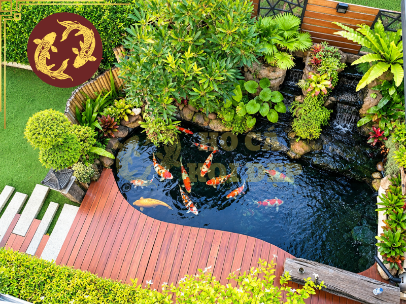 Thiết Kế Hồ Cá Koi Ngoài Trời Đẹp, Bền Và Dễ Chăm Sóc 7 Việc duy trì môi trường nước ổn định, kiểm soát ánh nắng và giữ cảnh quan sạch sẽ sẽ giúp hồ cá koi ngoài trời luôn đẹp và tạo điều kiện thuận lợi cho cá phát triển.