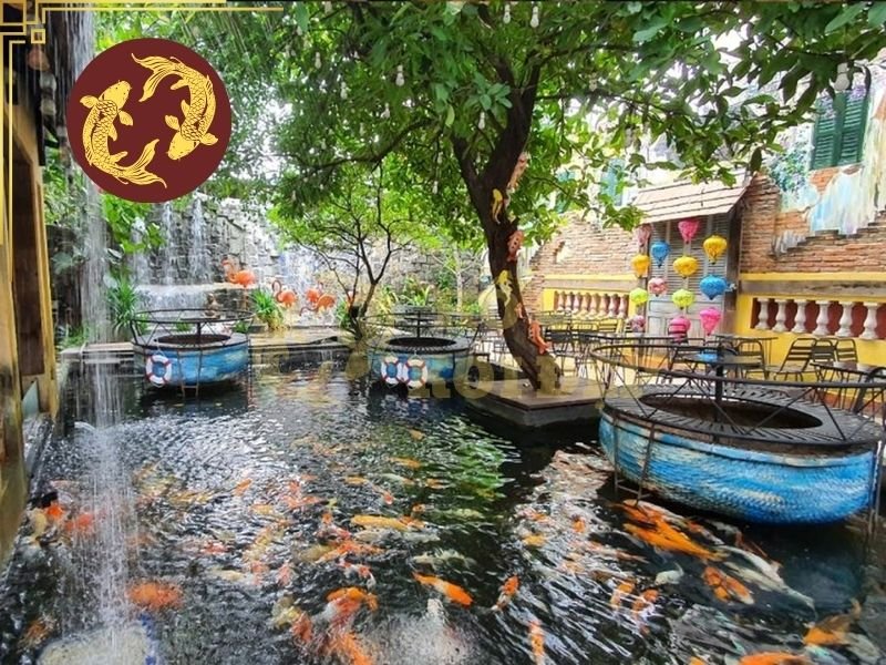 Thiết Kế Hồ Cá Koi Quán Cà Phê Đẹp, Ấn Tượng Và Dễ Chăm Sóc 5 Chủ quán cần cân nhắc số lượng cá dự kiến nuôi, kích thước cá, vị trí đặt hồ và khả năng đầu tư hệ thống lọc.