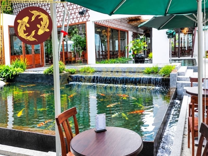 Thiết Kế Hồ Cá Koi Quán Cà Phê Đẹp, Ấn Tượng Và Dễ Chăm Sóc 6 Đối với hồ koi kinh doanh, việc bảo trì nên được đưa vào quy trình vận hành thường xuyên thay vì chỉ xử lý khi nước đã đục hoặc cá có vấn đề.
