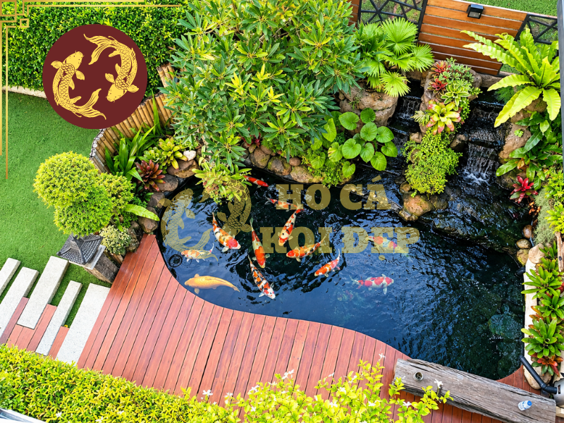 Những Điều Cần Biết Khi Thiết Kế Hồ Cá Koi Trước Nhà 5 Hệ thống lọc có vai trò quan trọng đối với hồ cá koi trước nhà, đặc biệt khi hồ nằm ở khu vực thường xuyên tiếp xúc với bụi, lá cây và nước mưa.
