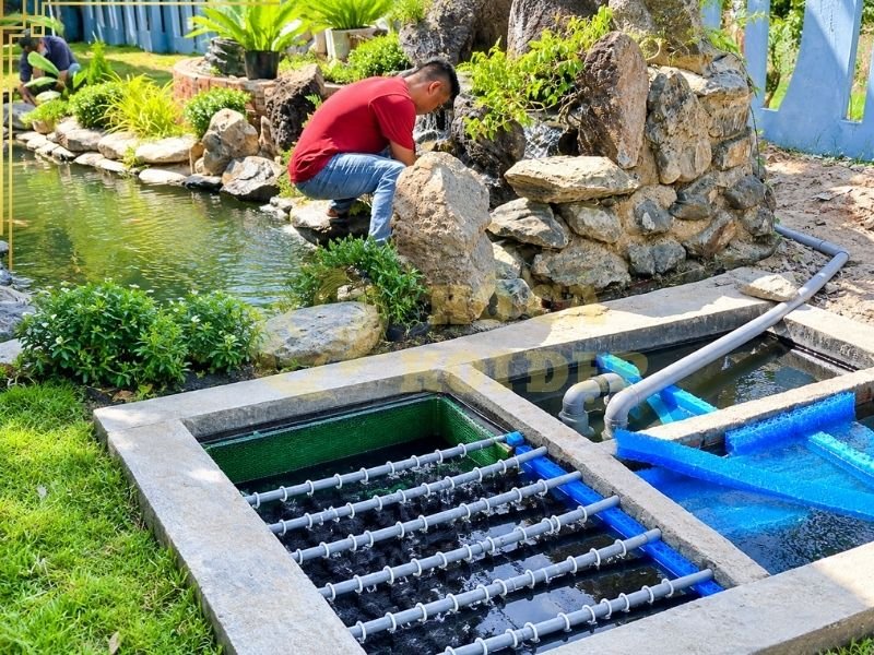 Hồ Koi Cần Bao Nhiêu Ngăn Lọc? Cách Bố Trí Hệ Thống Lọc Hiệu Quả 2 Đối với hồ cá Koi gia đình, hệ thống lọc thường được thiết kế từ 3–5 ngăn, tùy theo quy mô và nhu cầu sử dụng