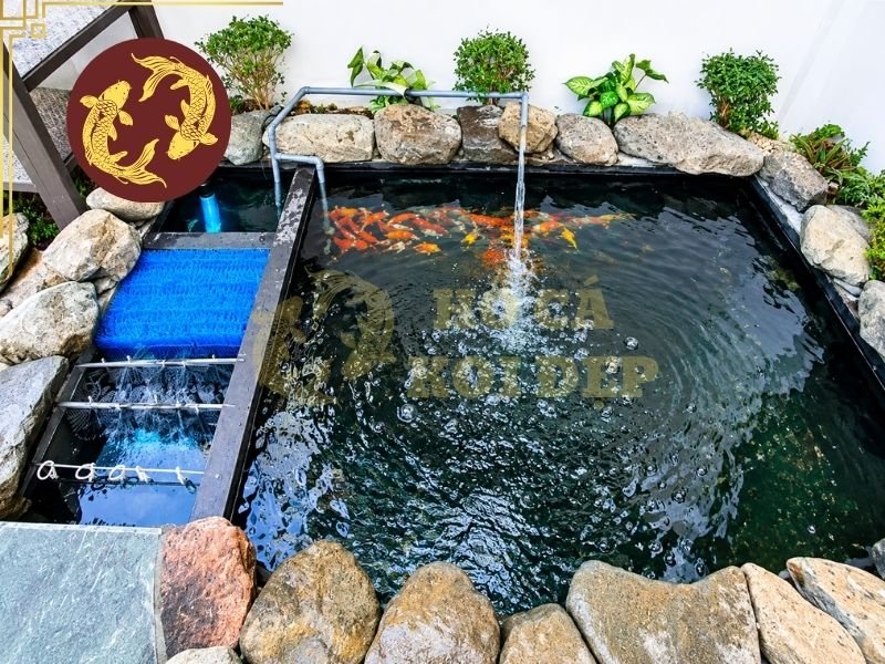 Hồ Koi Cần Bao Nhiêu Ngăn Lọc? Cách Bố Trí Hệ Thống Lọc Hiệu Quả 5 Một số lưu ý trong việc tìm hiểu hồ koi cần bao nhiêu ngăn lọc