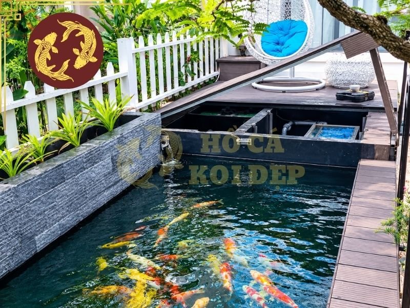 Hồ Koi Cần Bao Nhiêu Ngăn Lọc? Cách Bố Trí Hệ Thống Lọc Hiệu Quả 1 Tùy vào kích thước hồ, mật độ cá và nhu cầu vận hành, số ngăn lọc cũng như thể tích lọc sẽ có sự khác biệt.