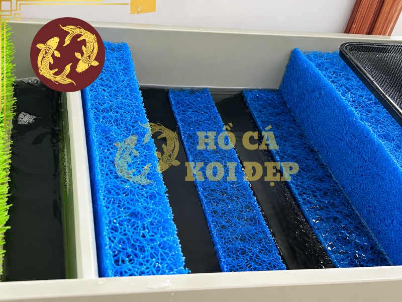 Jmat Lọc Hồ Koi: Cấu Tạo, Công Dụng Và Cách Lắp Đặt Đúng Chuẩn 5 Lưu ý cách lắp đặt JMAT chuẩn