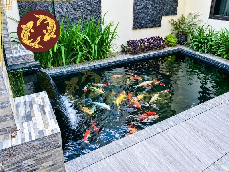 Hệ Thống Lọc Hồ Koi Bao Lâu Ổn Định Sau Khi Vận Hành? 3 Thông thường, gia chủ nên chờ ít nhất khoảng 3–4 tuần để hệ thống lọc có thời gian vận hành và hình thành vi sinh.
