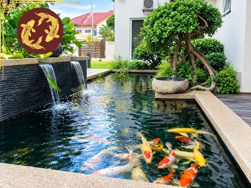 Hệ Thống Lọc Hồ Koi Bao Lâu Ổn Định Sau Khi Vận Hành? 4 Thời gian lọc hồ koi bao lâu ổn định chịu ảnh hưởng bởi nhiều yếu tố khác nhau