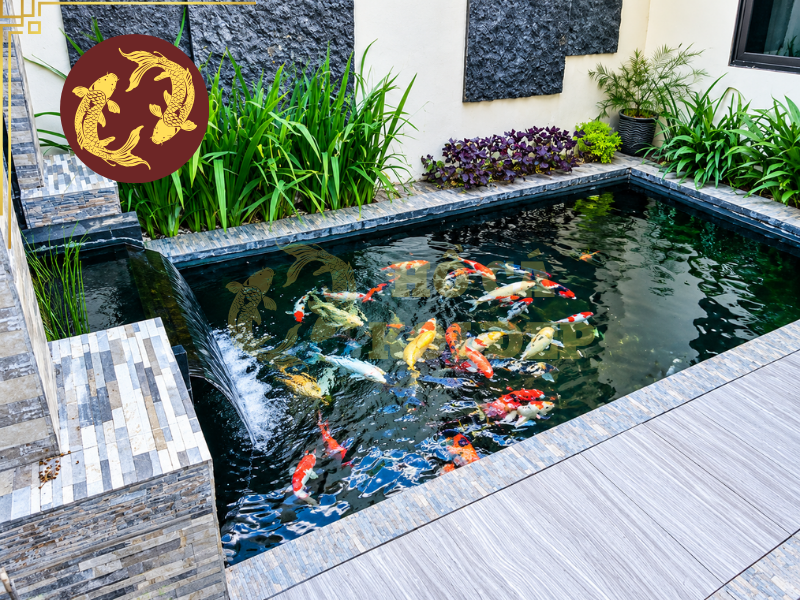 Cách Xử Lý Lọc Hồ Koi Bị Nghẹt Giúp Hệ Thống Hoạt Động Ổn Định 3 Khi lọc hồ Koi bị nghẹt, cặn bẩn và các chất hữu cơ không được giữ lại hiệu quả, khiến nước trong hồ trở nên đục, xuất hiện nhiều hạt lơ lửng, váng hoặc mùi tanh, mùi bùn rõ hơn.