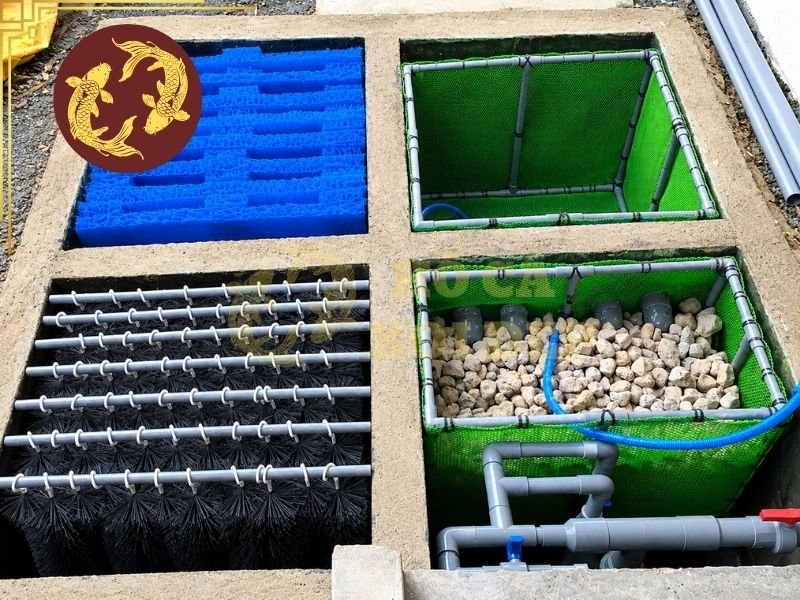 Lọc Hồ Koi Tự Chế: Hướng Dẫn Làm Bộ Lọc Đơn Giản, Tiết Kiệm 5 Có thể sử dụng hệ lọc 3 ngăn cho hệ lọc tự chế
