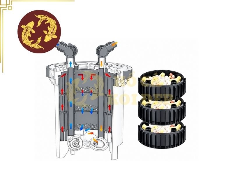 Lọc Thùng Cho Hồ Koi Mini: Giải Pháp Lọc Nước Gọn Nhẹ, Hiệu Quả 1 Lọc thùng cho hồ koi mini là dạng thiết bị lọc kín, thường có thân thùng chứa nhiều ngăn hoặc vật liệu lọc bên trong.