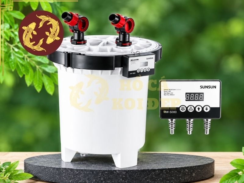 Lọc Thùng Cho Hồ Koi Mini: Giải Pháp Lọc Nước Gọn Nhẹ, Hiệu Quả 2 Thiết bị có thể kết hợp vật liệu lọc cơ học để giữ phân cá, thức ăn thừa và cặn lơ lửng.