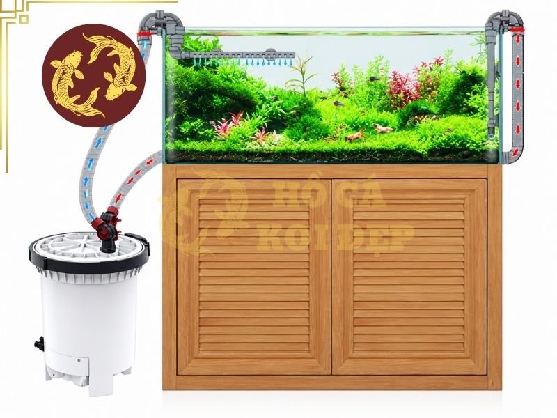 Lọc Thùng Cho Hồ Koi Mini: Giải Pháp Lọc Nước Gọn Nhẹ, Hiệu Quả 3 Hồ có dung tích nhỏ, số lượng cá vừa phải và được chăm sóc thường xuyên có thể sử dụng hệ thống lọc thùng có lưu lượng phù hợp.