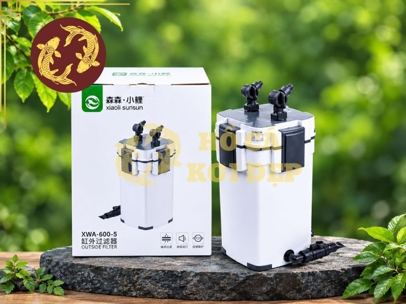 Lọc Thùng Cho Hồ Koi Mini: Giải Pháp Lọc Nước Gọn Nhẹ, Hiệu Quả 5 Vị trí đặt lọc thùng cho hồ koi mini cần thuận tiện cho việc kết nối đường ống và bảo dưỡng.