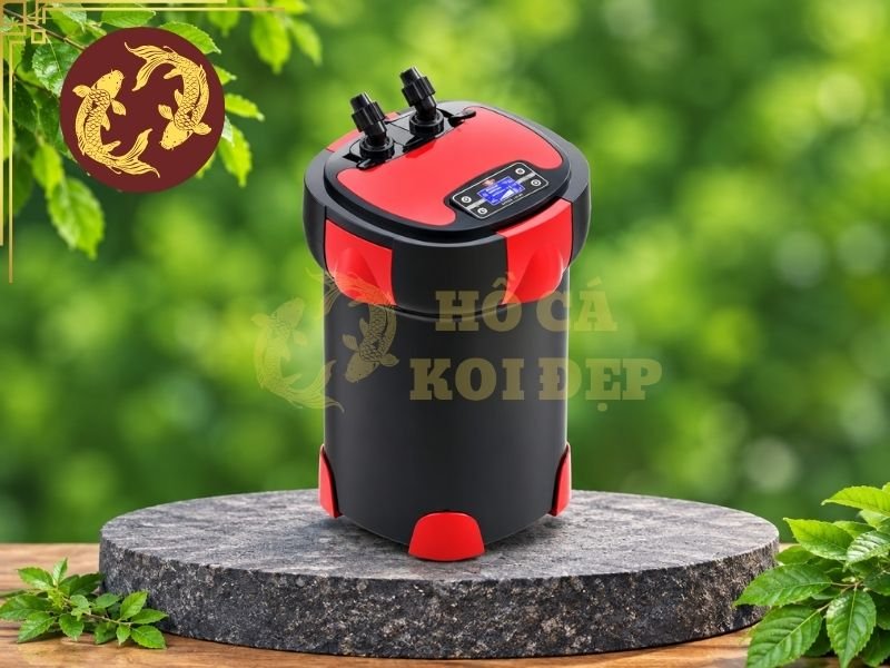 Lọc Thùng Cho Hồ Koi Mini: Giải Pháp Lọc Nước Gọn Nhẹ, Hiệu Quả 6 Lọc ngoài hồ nhỏ có ưu điểm là tiết kiệm không gian trong hồ và giúp cảnh quan gọn gàng hơn.