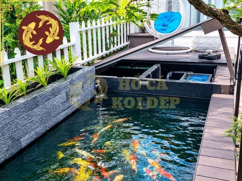 Top Mẫu Hồ Cá Koi Đẹp 2026 Được Ưa Chuộng Nhất 1 Thay vì sử dụng quá nhiều tiểu cảnh, hồ thường được kết hợp với cây xanh, đá tự nhiên và khu vực thư giãn để tạo cảm giác gần gũi với thiên nhiên.
