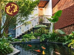 Mẫu hồ cá koi đẹp 2026