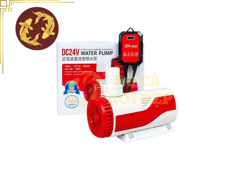 Máy Bơm Chìm vs. Bơm Cạn Cho Hồ Koi: So Sánh Chi Tiết 4 Phân tích ưu nhược điểm của máy bơm chìm vs. bơm cạn cho hồ koi