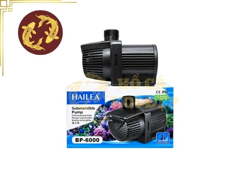 Máy Bơm Chìm vs. Bơm Cạn Cho Hồ Koi: So Sánh Chi Tiết 5 Tùy theo mục đích và hệ thống đã được lắp đặt từ trước để lựa chọn phù hợp