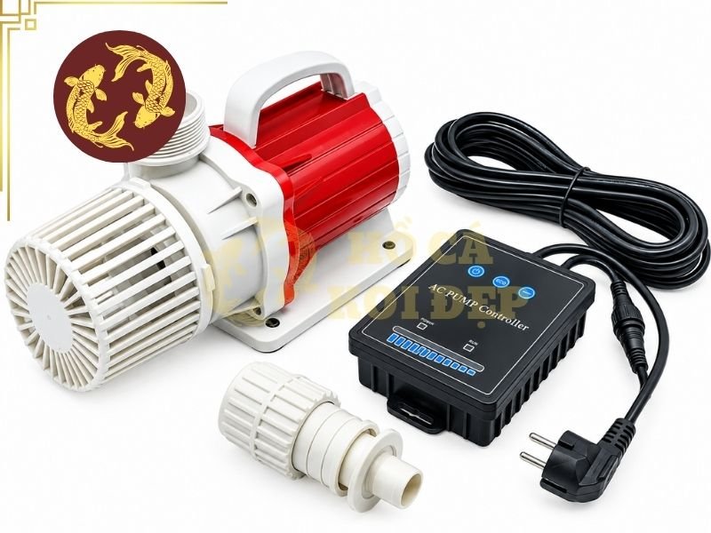 Cách Chọn Máy Bơm Hồ Koi 10 Khối Phù Hợp Với Hệ Thống Lọc 3 Máy bơm hồ koi 10 khối nên được lựa chọn sau khi đã hình dung rõ cấu tạo của hệ thống lọc.