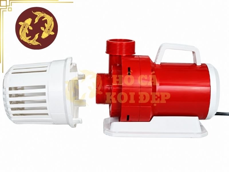Cách Chọn Máy Bơm Hồ Koi 10 Khối Phù Hợp Với Hệ Thống Lọc 4 Lưu ý về công suất cho máy bơm hồ koi 10 khối