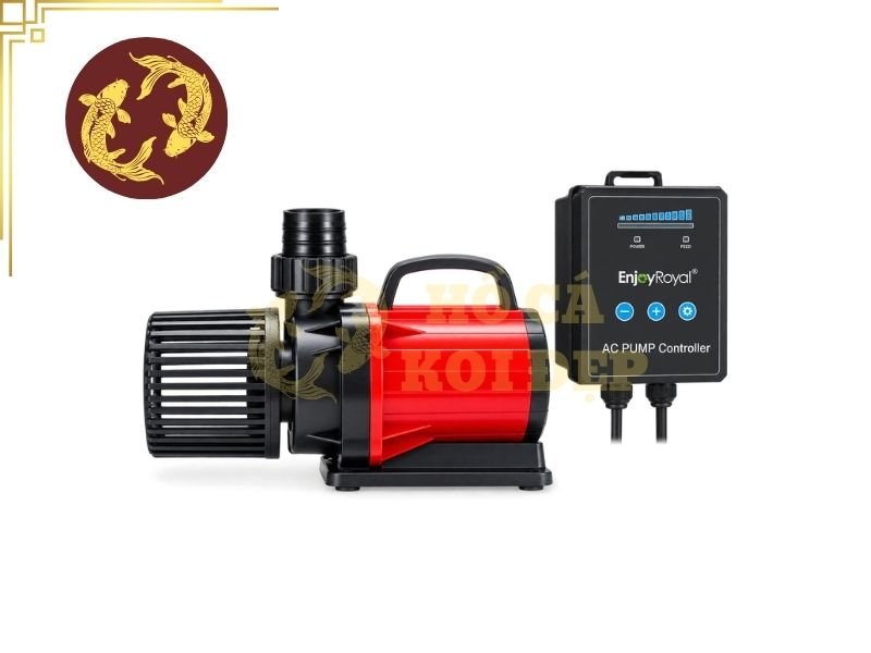 Cách Chọn Máy Bơm Hồ Koi 10 Khối Phù Hợp Với Hệ Thống Lọc 5 Lưu ý những trường hợp chọn sai bơm cần tránh