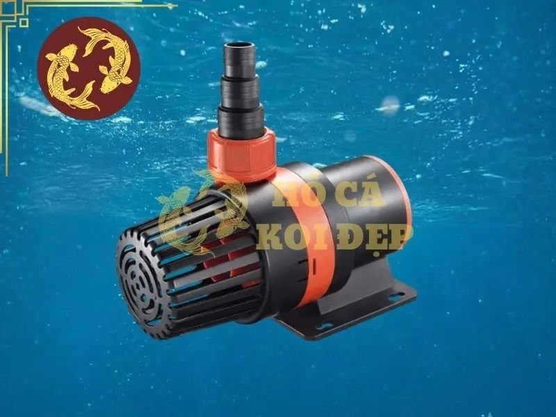 Máy Bơm Hồ Koi 50 Khối: Cách Chọn Lưu Lượng Và Cột Áp 1 Khi lượng nước tăng, hệ thống tuần hoàn cũng cần được thiết kế tương ứng để nước có thể đi qua hệ thống lọc và quay trở lại hồ một cách ổn định.