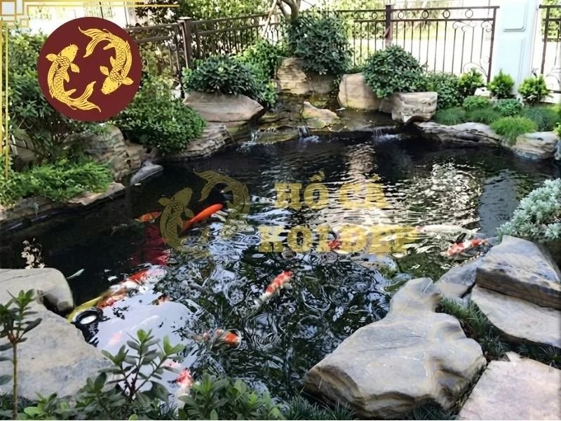 Máy Bơm Hồ Koi 50 Khối: Cách Chọn Lưu Lượng Và Cột Áp 4 Lưu ý các sai lầm cần tránh khi chọn máy bơm hồ koi 50 khối