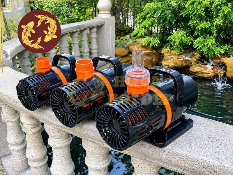 Máy Bơm Hồ Koi Bị Yếu: Nguyên Nhân Và Cách Khắc Phục Hiệu Quả 1 may bom ho koi bi yeu 1