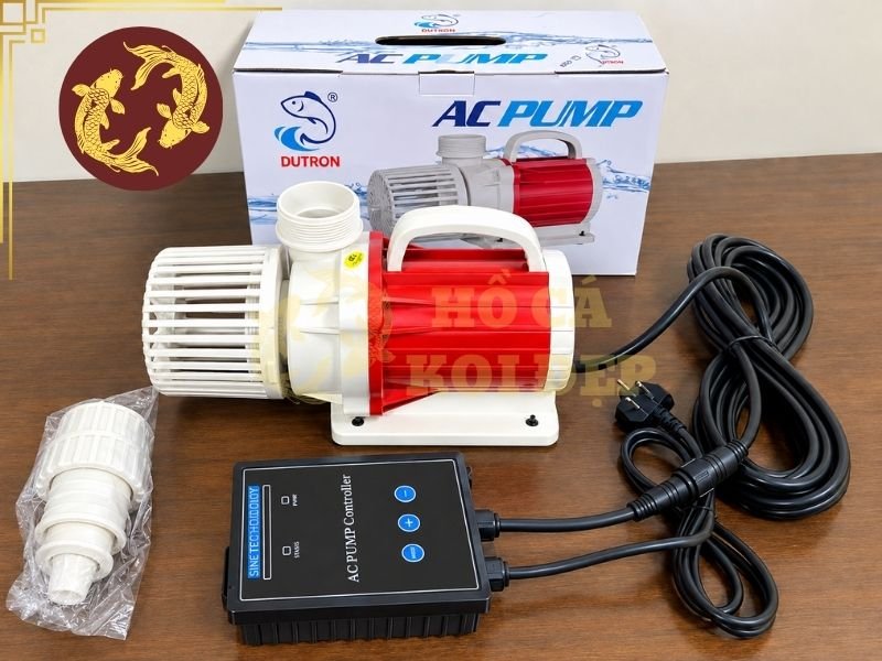 Máy Bơm Hồ Koi Bị Yếu: Nguyên Nhân Và Cách Khắc Phục Hiệu Quả 5 may bom ho koi bi yeu 6