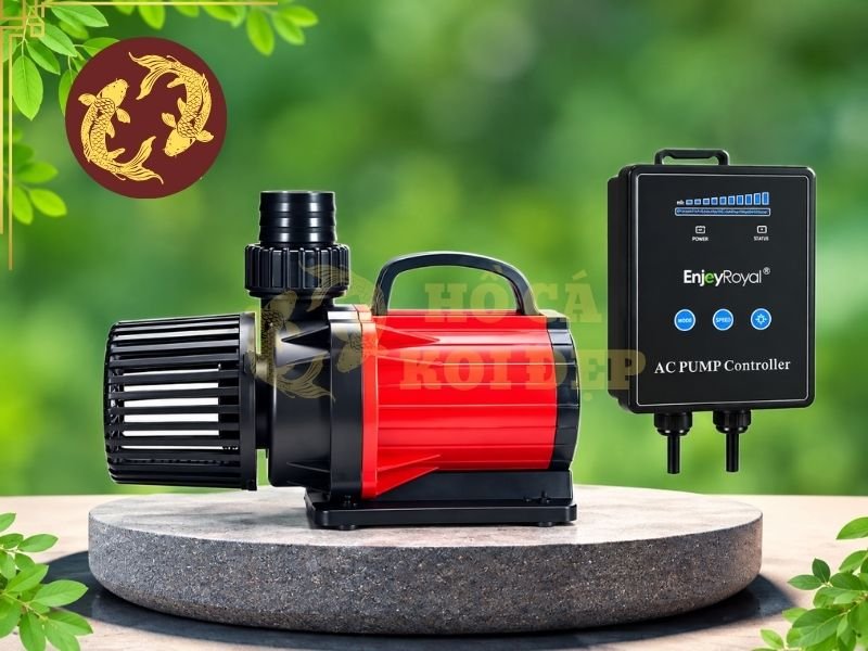 Hướng Dẫn Sử Dụng Máy Bơm Hồ Koi Chạy 24/24 An Toàn, Hiệu Quả 1 Trong điều kiện hệ thống được thiết kế phù hợp, máy bơm hồ koi chạy 24/24 là phương án phổ biến đối với hồ koi có hệ thống lọc tuần hoàn