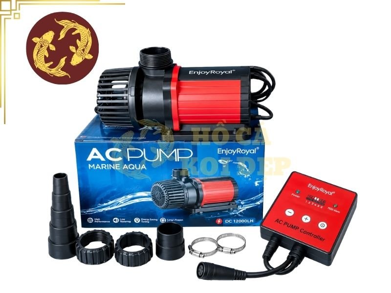 Hướng Dẫn Sử Dụng Máy Bơm Hồ Koi Chạy 24/24 An Toàn, Hiệu Quả 4 Muốn bơm bền chạy liên tục, không chỉ cần chọn máy tốt mà còn phải tạo điều kiện vận hành phù hợp.