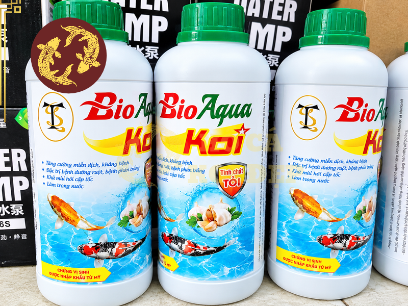 Mua Vi Sinh Hồ Koi: Cách Chọn Chủng Vi Sinh Phù Hợp Với Hệ Thống Lọc 1 Hệ vi sinh lọc sinh học hỗ trợ chuyển hóa amoniac thành nitrit, sau đó tiếp tục chuyển nitrit thành nitrat thông qua quá trình nitrat hóa.
