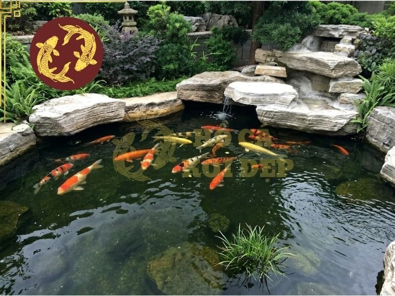 Khi Nào Cần Nâng Cấp Hệ Lọc Hồ Koi Cũ? 1 Nước đục có thể xuất phát từ việc lọc cơ học không giữ được cặn nhỏ, ngăn lắng quá yếu hoặc máy bơm không đưa đủ nước qua hệ thống lọc.