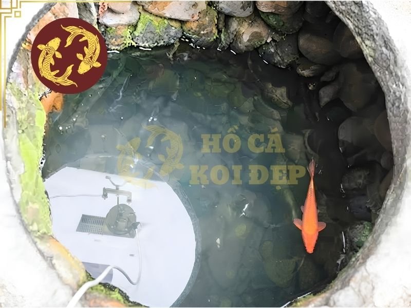 Nước Giếng Khoan Nuôi Cá Koi: Cách Xử Lý Và Sử Dụng An Toàn 1 Vấn đề không nằm ở nguồn nước giếng mà ở các thành phần có trong nước và mức độ phù hợp của chúng với môi trường sống của cá koi.