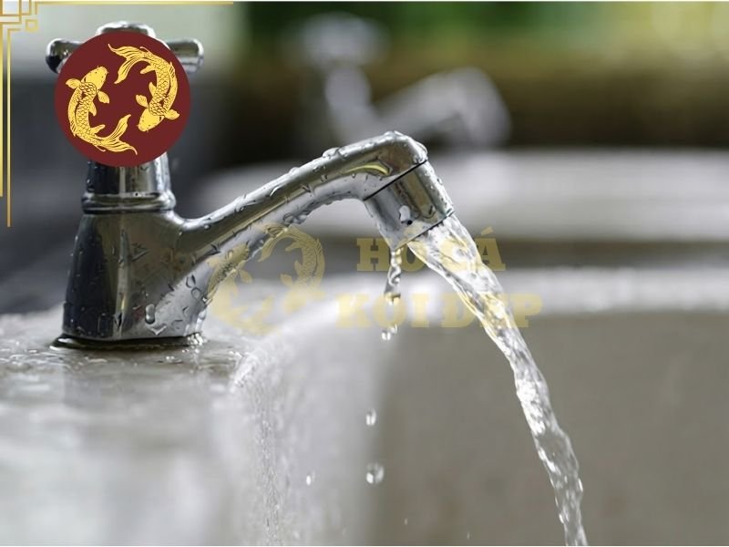 Nước Máy Nuôi Cá Koi: Clo, pH Và Những Thông Số Cần Lưu Ý 1 nước có thể chứa clo tự do hoặc chloramine - ảnh hưởng đến mang và các mô nhạy cả của cá nếu đồng độ cao