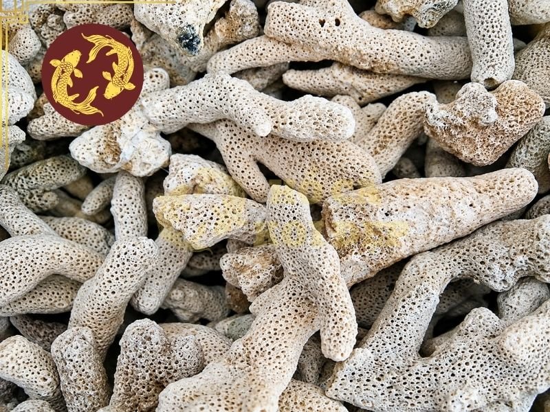 Cách Sử Dụng San Hô Lọc Hồ Koi Để Ổn Định Chất Lượng Nước 3 Cấu trúc của san hô lọc hồ koi có nhiều khe và bề mặt không bằng phẳng, tạo điều kiện cho một phần vi sinh vật bám trên vật liệu.
