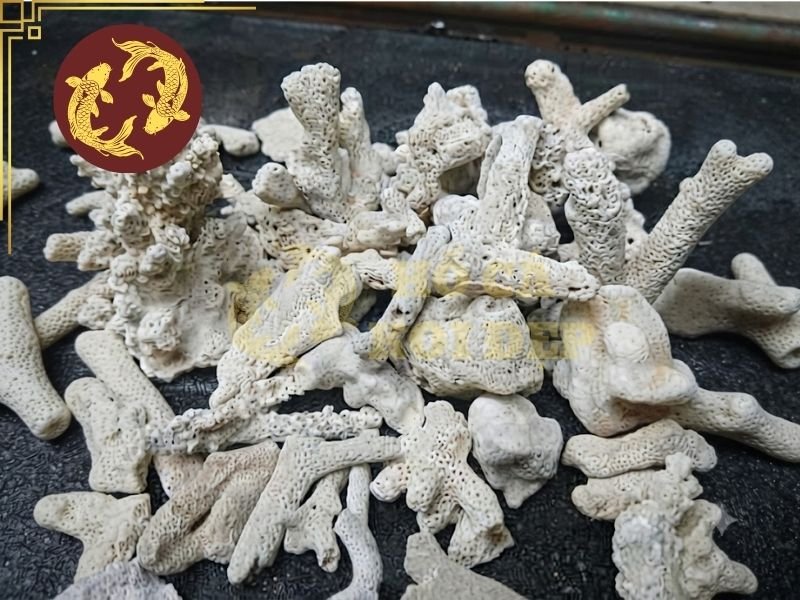 Cách Sử Dụng San Hô Lọc Hồ Koi Để Ổn Định Chất Lượng Nước 4 Khi môi trường nước có tính axit hơn, calcium carbonate có xu hướng hòa tan và tham gia vào hệ cân bằng carbonate – bicarbonate.