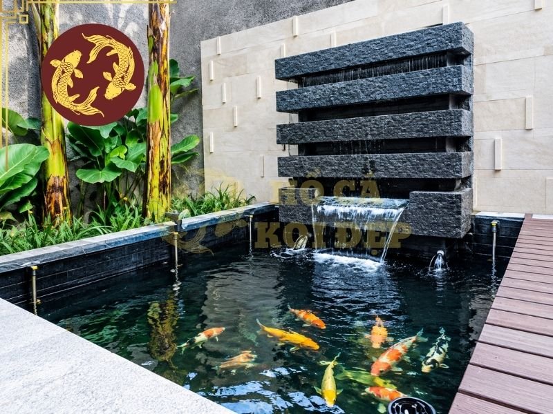 Quy Trình Sơn Hồ Cá Koi Đúng Chuẩn, Hạn Chế Bong Tróc Và Thấm Nước 3 Tham khảo các bộ màu đẹp và phổ biến