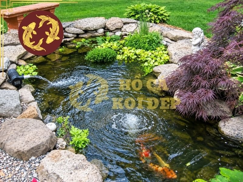 Thi Công Hồ Cá Koi Bình Dương: Giải Pháp Hồ Koi Đẹp Và Chuẩn Kỹ Thuật 5 Mẹo lựa chọn đơn vị uy tín, phù hợp