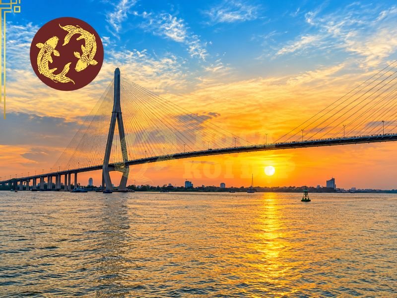 Thi Công Hồ Cá Koi Cần Thơ: Tư Vấn Thiết Kế Và Lựa Chọn Đơn Vị Uy Tín 1 Trước khi thi công hồ cá koi Cần Thơ, việc khảo sát mặt bằng là bước cần thiết để xác định kích thước, hình dáng và vị trí đặt hồ.