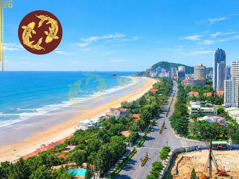 Thi Công Hồ Cá Koi Vũng Tàu: Những Lưu Ý Quan Trọng Trước Khi Xây Hồ 1 Hồ có thể được đặt ở sân trước, sân sau, bên hông nhà hoặc khu vực sân vườn tùy vào diện tích và kiến trúc.