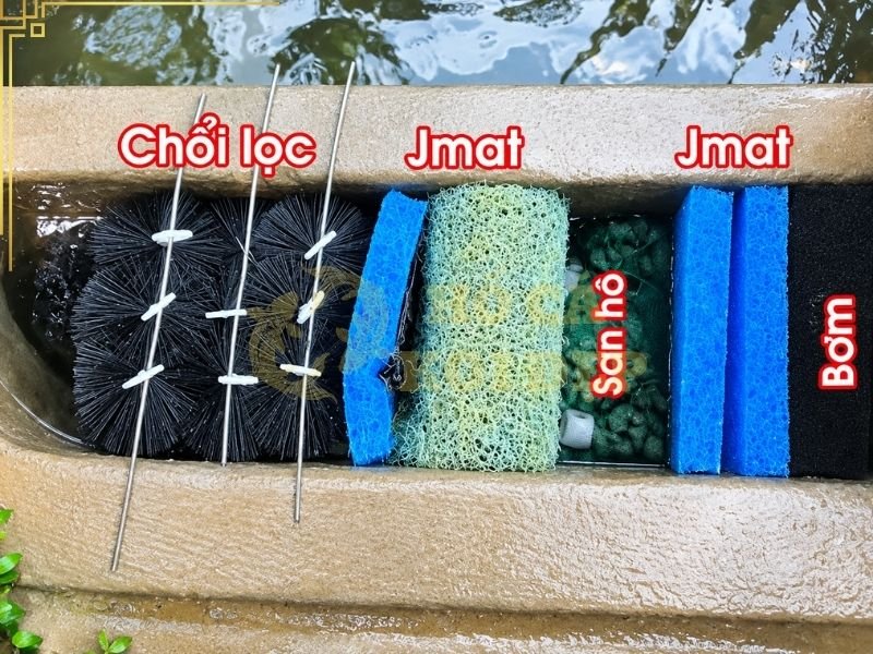 Thứ Tự Vật Liệu Lọc Hồ Koi: Hướng Dẫn Sắp Xếp Đúng Cách 2 Tham khảo thứ tự vật liệu lọc thường dùng khi lắp đặt hồ
