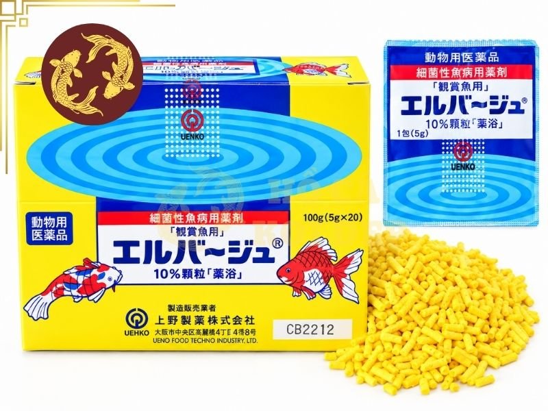 Thuốc Tetra Nhật Cho Cá Koi: Hướng Dẫn Sử Dụng Đúng Cách 5 Cần phân biệt rõ thuốc tetra nhật cho cá koi với các loại tetracycline