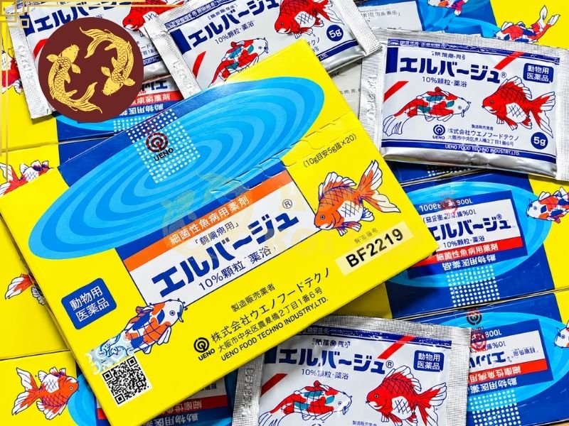 Thuốc Tetra Nhật Cho Cá Koi: Hướng Dẫn Sử Dụng Đúng Cách 6 Một số lưu ý khi sử dụng thuốc Tetra Nhật cho cá koi