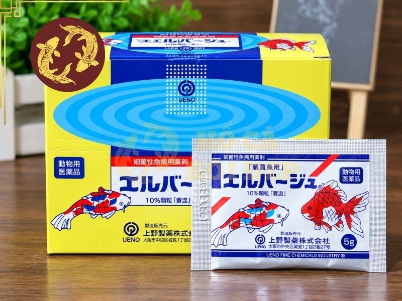 Cách Chọn Thuốc Trị Bệnh Cá Koi Phù Hợp Với Từng Triệu Chứng 1 Cá Koi có thể mắc bệnh do nhiều nguyên nhân như ký sinh trùng, nấm, vi khuẩn, chất lượng nước kém hoặc điều kiện môi trường thay đổi đột ngột.