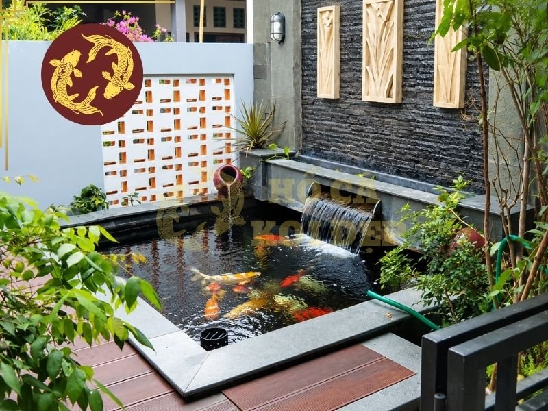 Hướng Dẫn Tính Tốc Độ Tuần Hoàn Nước Hồ Koi Đúng Kỹ Thuật 6 Cá càng nhiều và càng lớn thì lượng thức ăn tiêu thụ cũng như chất thải phát sinh càng cao, kéo theo nhu cầu xử lý nước lớn hơn.