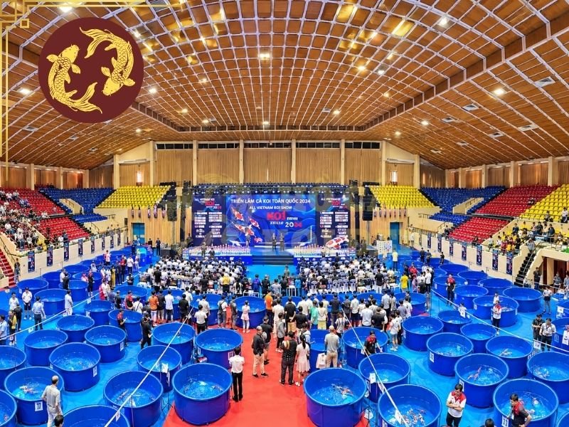 Triển Lãm Cá Koi Việt Nam: Không Gian Giao Lưu Và Chiêm Ngưỡng Cá Koi Nhật Bản 4 Một số chương trình có khu vực giới thiệu thiết bị hồ koi, vật liệu lọc, thức ăn cá và các sản phẩm hỗ trợ chăm sóc cá cảnh.
